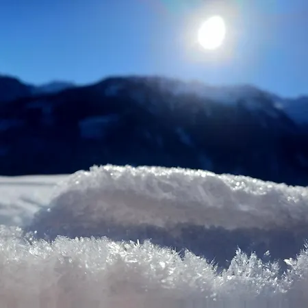 Kerer Wald im Pinzgau