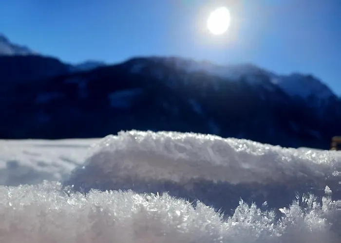 Kerer Wald im Pinzgau